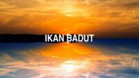 Ikan Badut