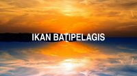 Ikan Batipelagis