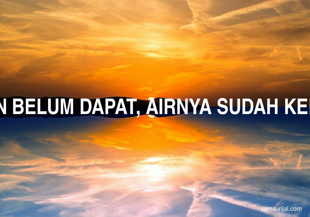 Arti Ikan Belum Dapat Airnya Sudah Keruh