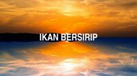 Ikan Bersirip