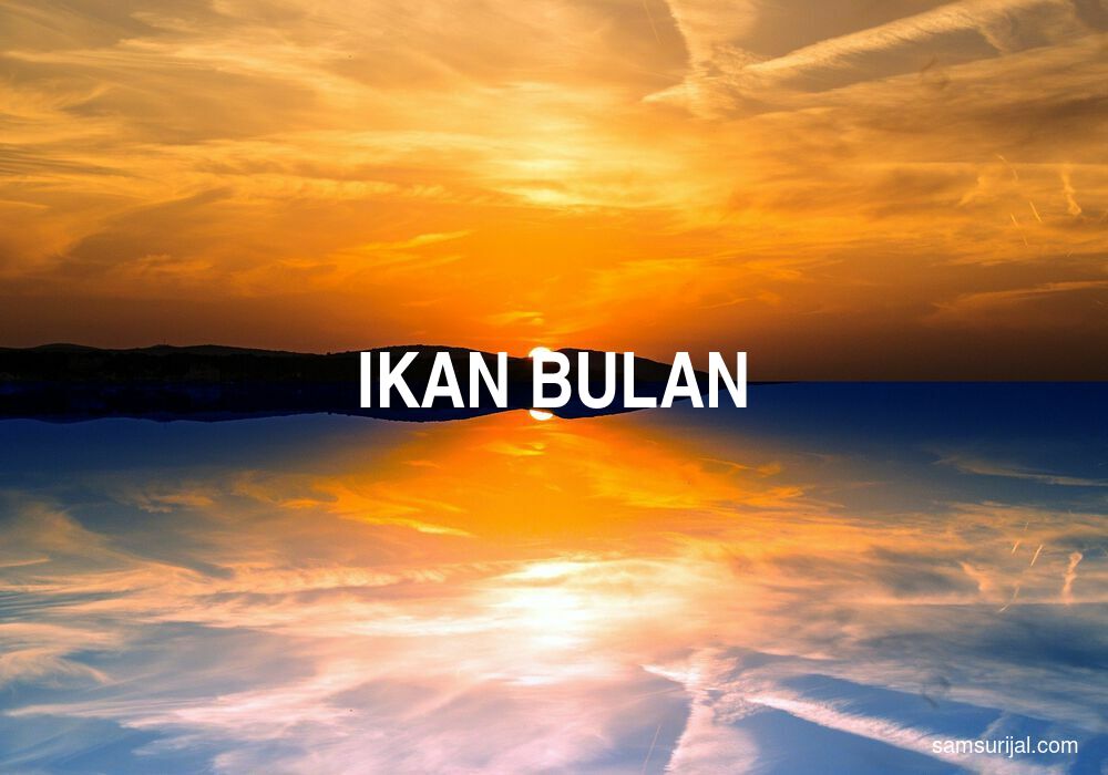 Arti Ikan Bulan