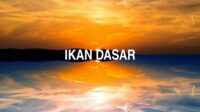 Ikan Dasar