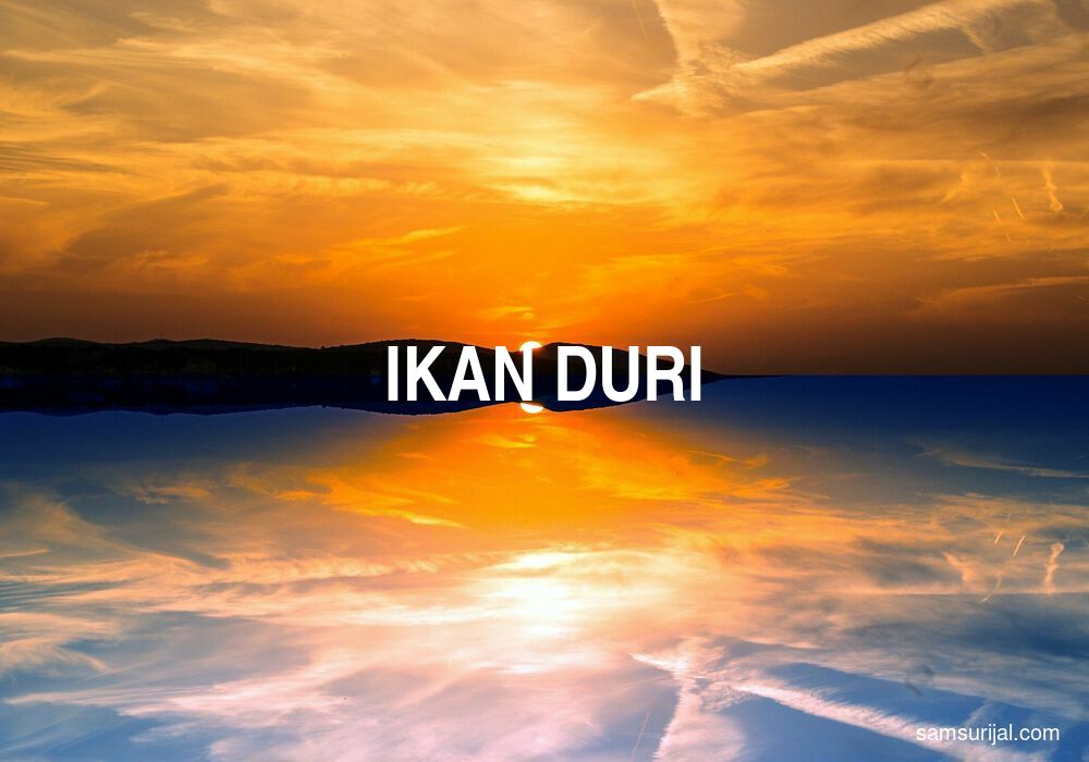 Arti Ikan Duri