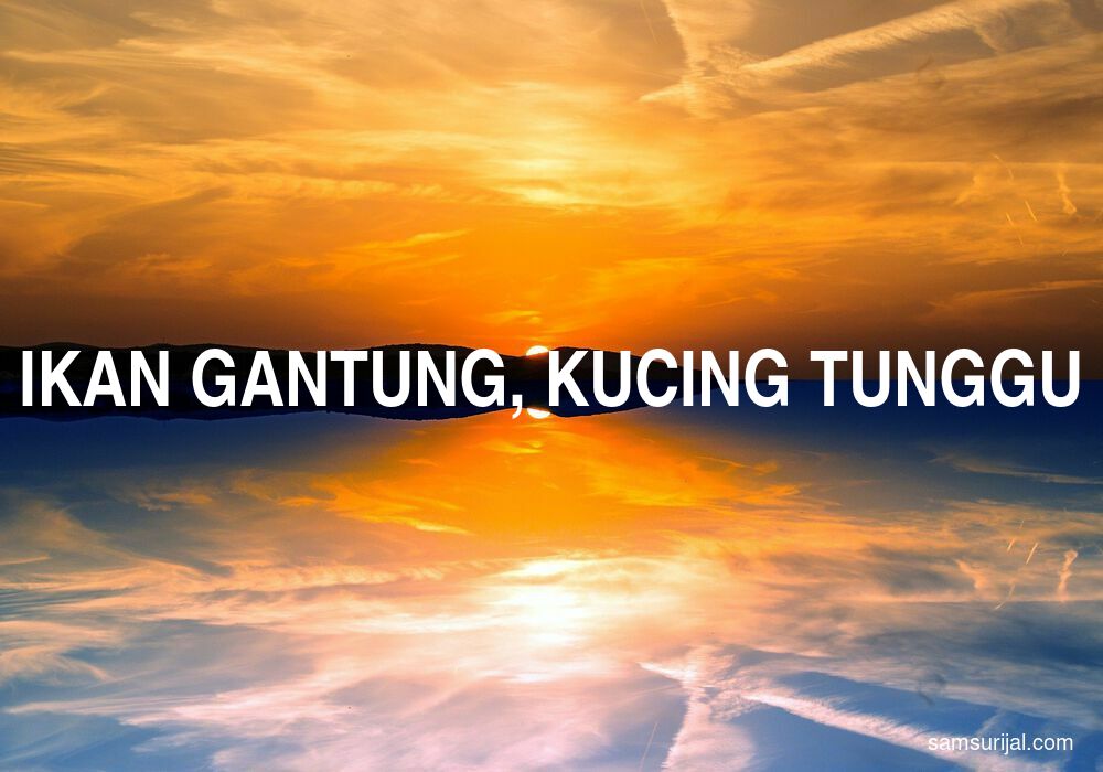 Arti Ikan Gantung Kucing Tunggu