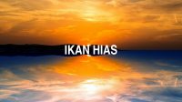 Ikan Hias