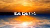 Ikan Kambing