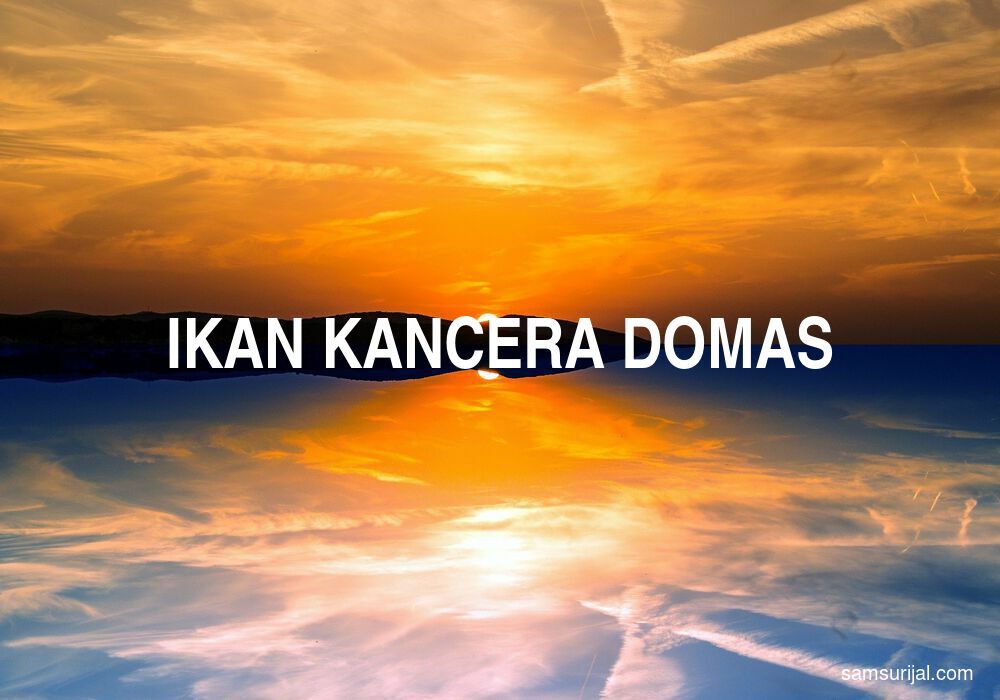 Arti Ikan Kancera Domas