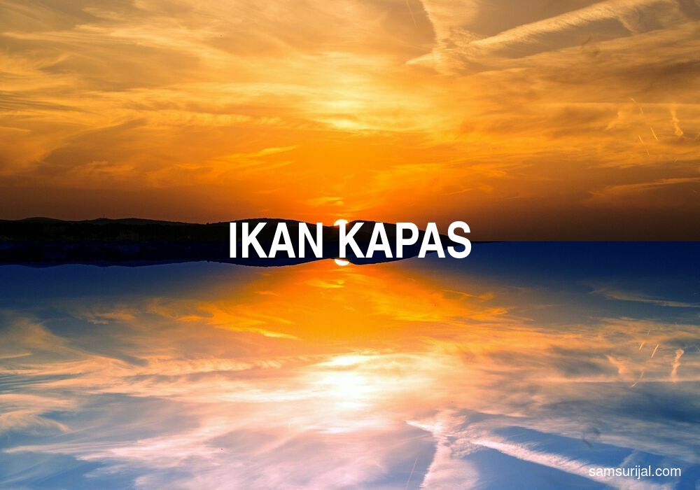 Arti Ikan Kapas