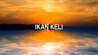 Ikan Keli