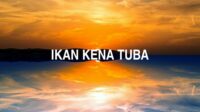 Ikan Kena Tuba