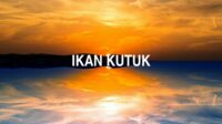 Ikan Kutuk