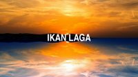 Ikan Laga