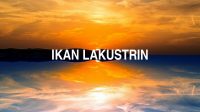 Ikan Lakustrin