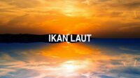 Ikan Laut