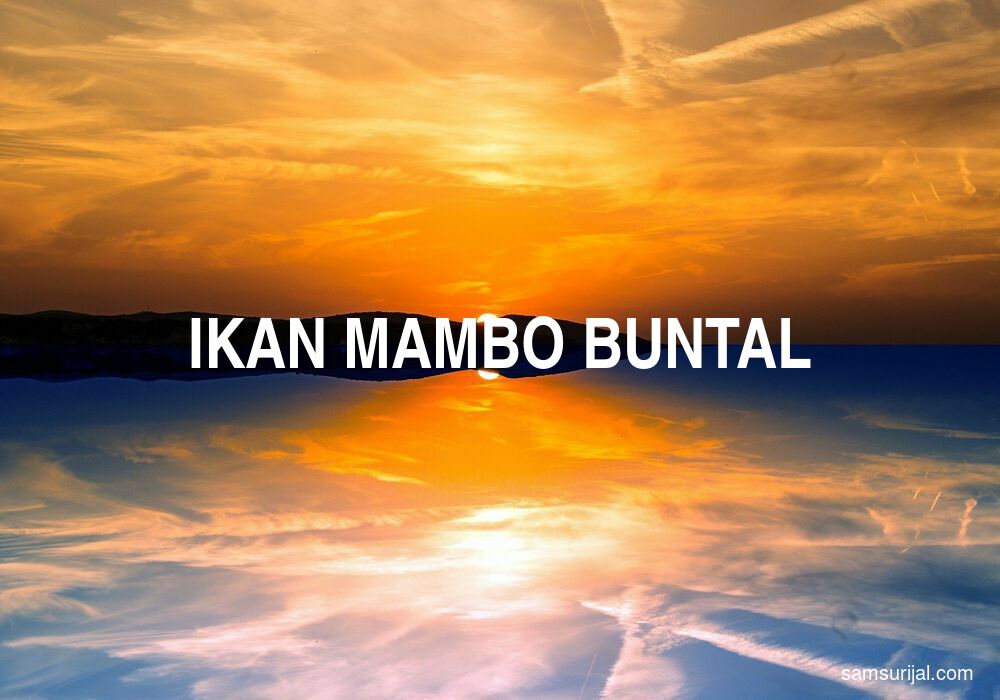 Arti Ikan Mambo Buntal