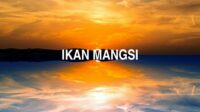 Ikan Mangsi