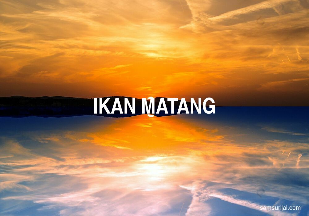 Arti Ikan Matang