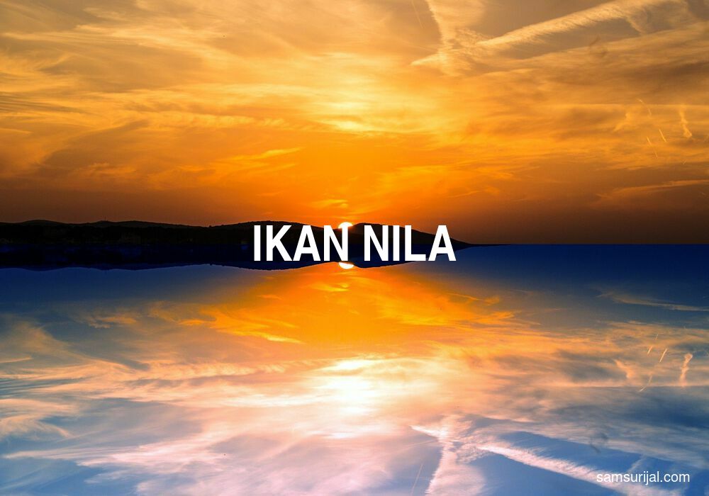 Arti Ikan Nila