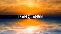 Ikan Olahan