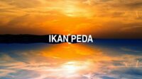 Ikan Peda