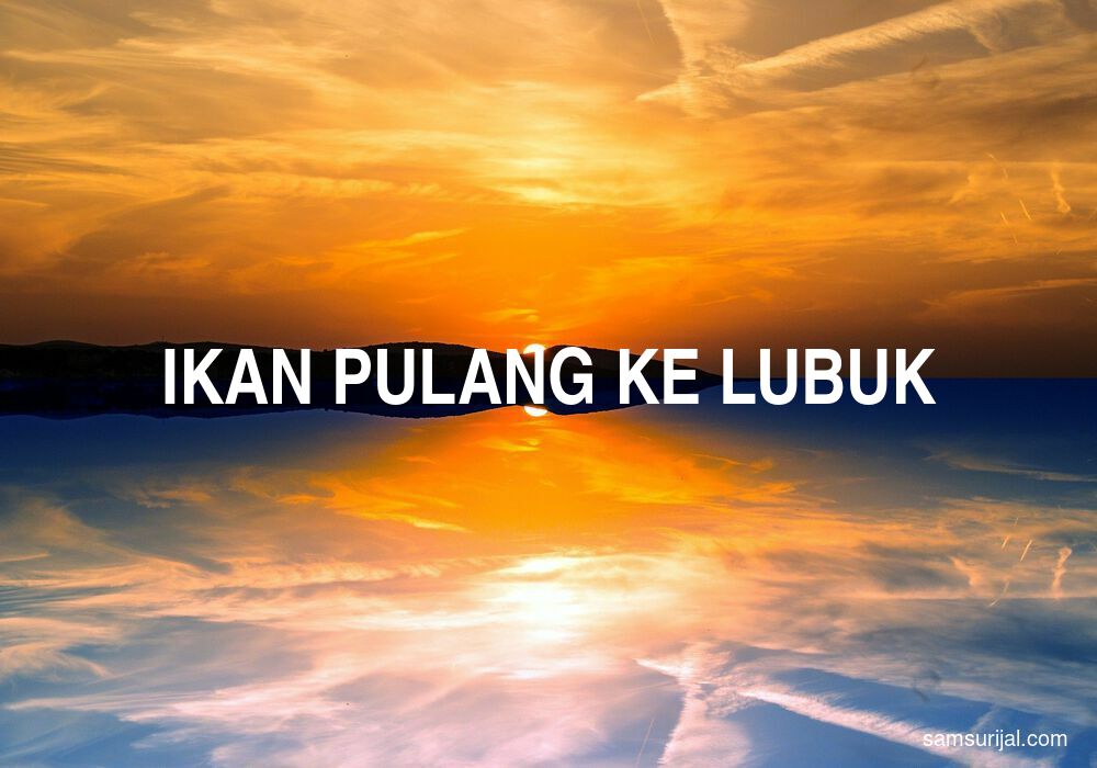 Arti Ikan Pulang Ke Lubuk