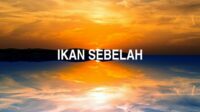 Ikan Sebelah