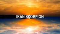 Ikan Skorpion