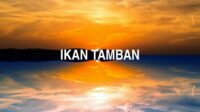 Ikan Tamban