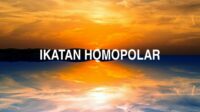 Ikatan Homopolar