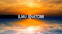 Ilmu Anatomi