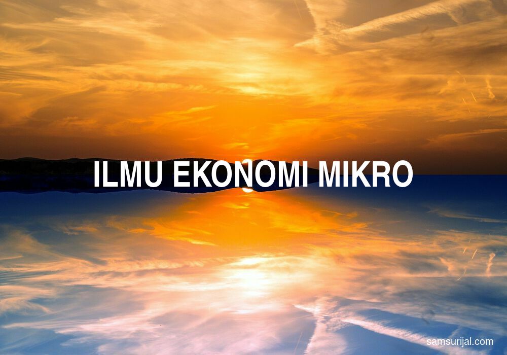 Arti Ilmu Ekonomi Mikro