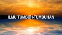 Ilmu tumbuh-Tumbuhan