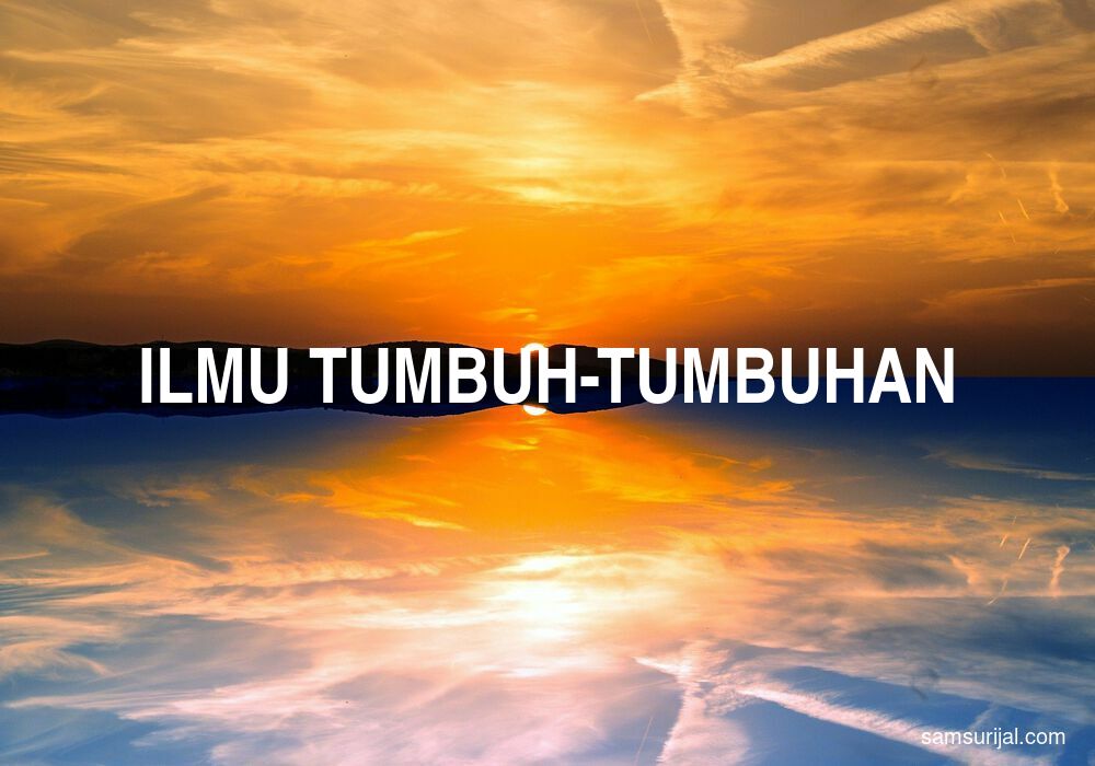 Arti Ilmu Tumbuh Tumbuhan