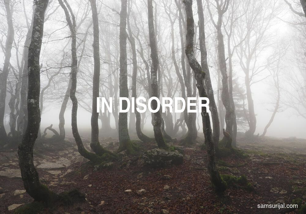 Arti In Disorder