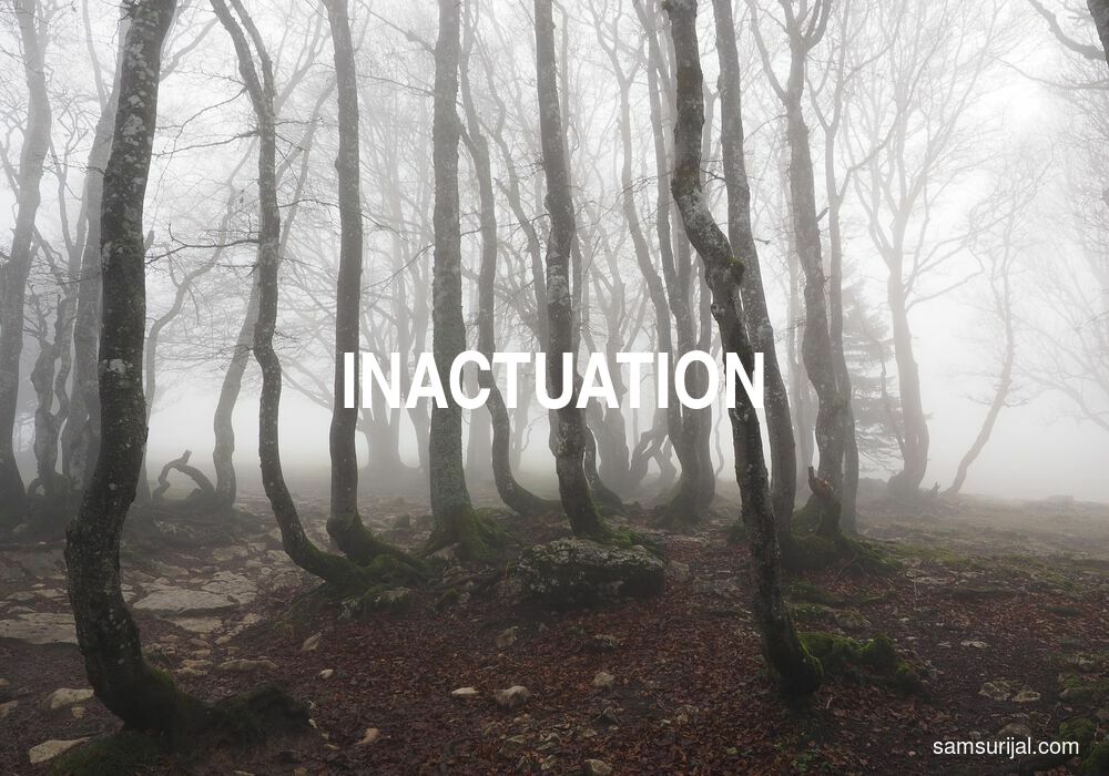 Arti Inactuation