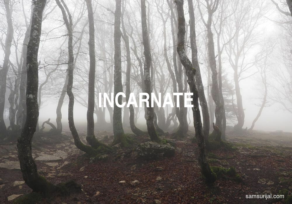Arti Incarnate