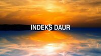 Indeks Daur