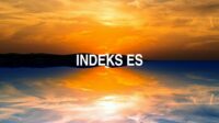 Indeks Es