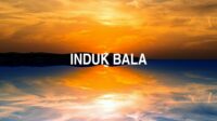 Induk Bala