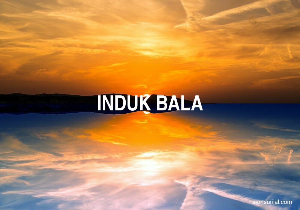 Arti Induk Bala