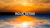 Induk Beras