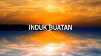 Induk Buatan