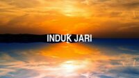 Induk Jari