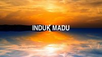 Induk Madu