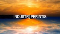 Industri Perintis