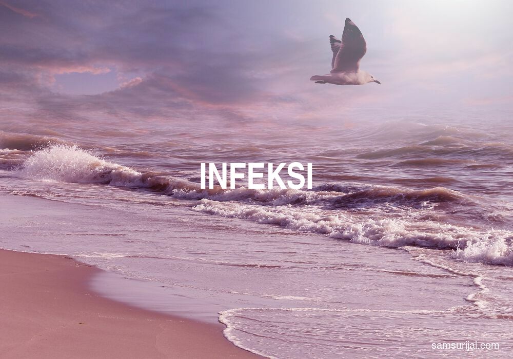 Arti Infeksi