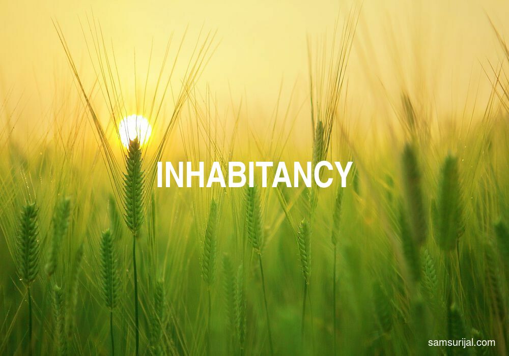 Arti Inhabitancy