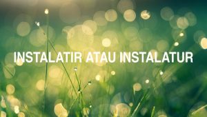 Penulisan Instalatir Atau Instalatur