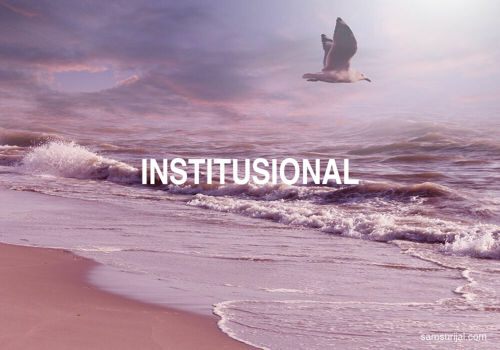 Arti Institusional