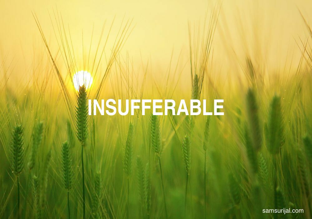 Arti Insufferable